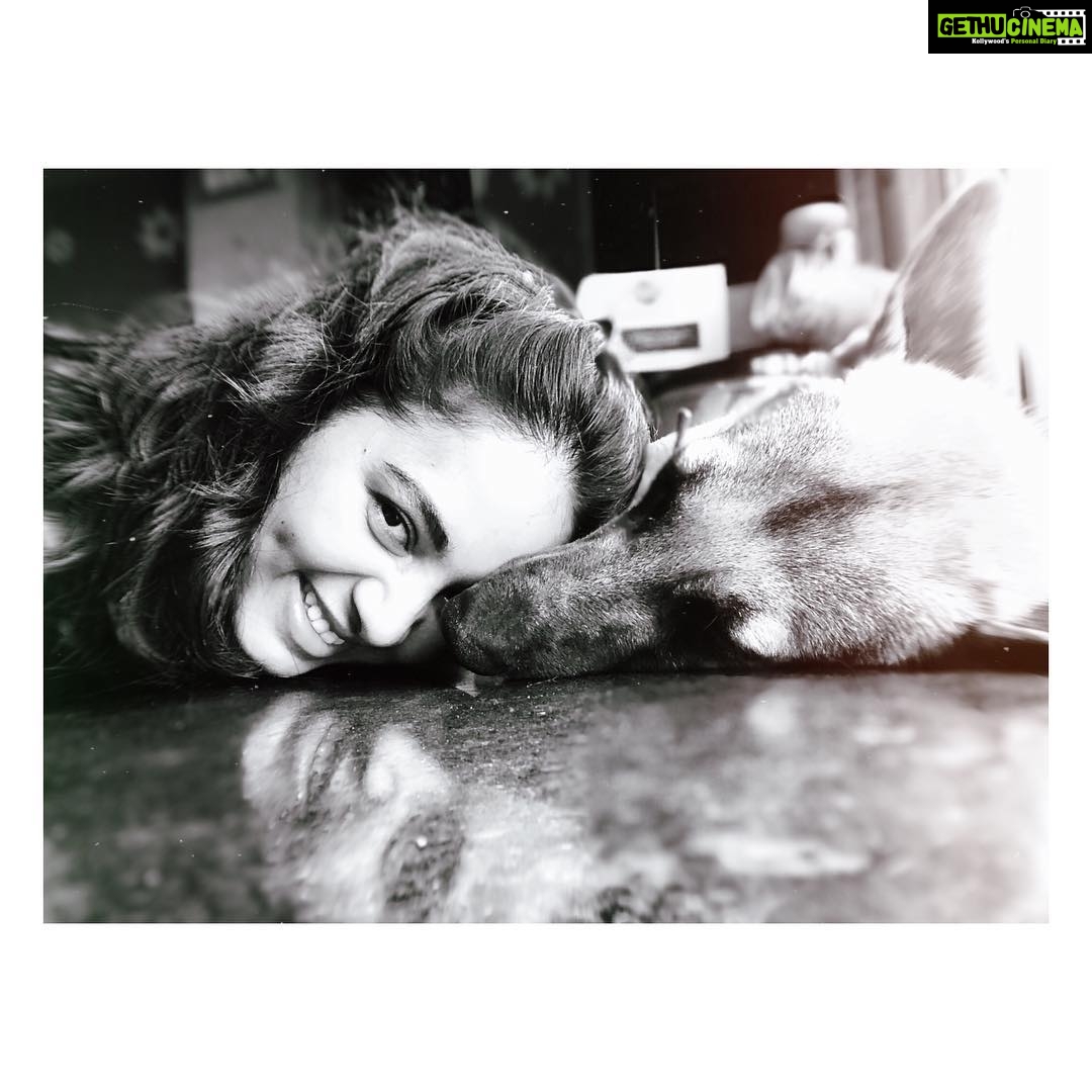 Srushti Dange Instagram - Sometimes you just gotta lay on the floor with your dog 🐕 #ruspindiary #lucyruspin #besttherapy 🐶