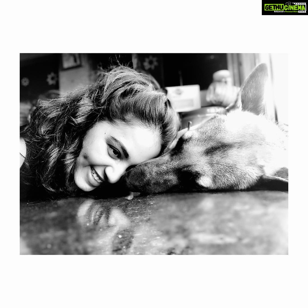 Srushti Dange Instagram - Sometimes you just gotta lay on the floor with your dog 🐕 #ruspindiary #lucyruspin #besttherapy 🐶