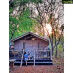 Srushti Dange Instagram - It’s not a home without fur-kids 🏠 🐶 #sunset #lucydiary @lucyruspinlove #ruspindiary #tubby 🌟💫