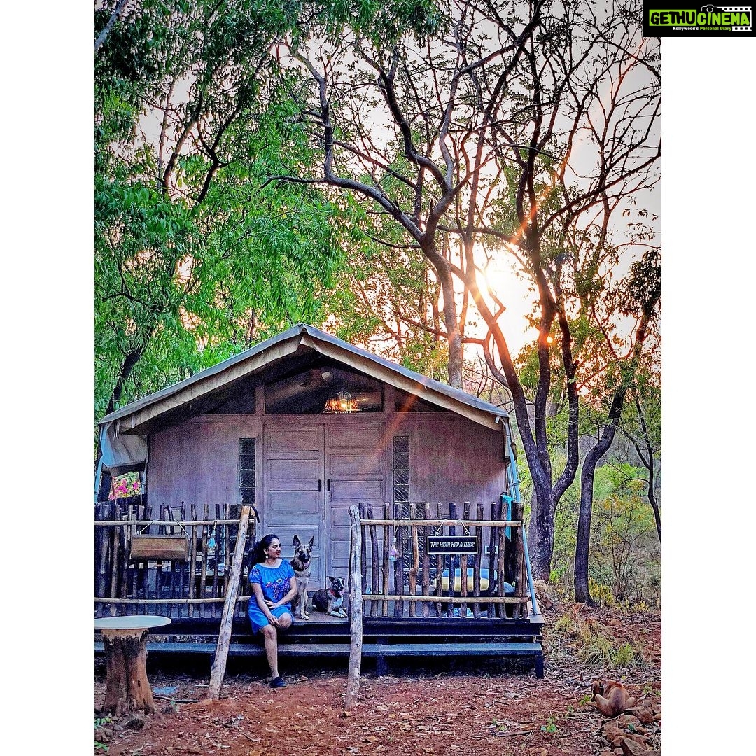 Srushti Dange Instagram - Itβs not a home without fur-kids π πΆ #sunset #lucydiary @lucyruspinlove #ruspindiary #tubby ππ«