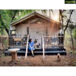 Srushti Dange Instagram - It’s not a home without fur-kids 🏠 🐶 #sunset #lucydiary @lucyruspinlove #ruspindiary #tubby 🌟💫