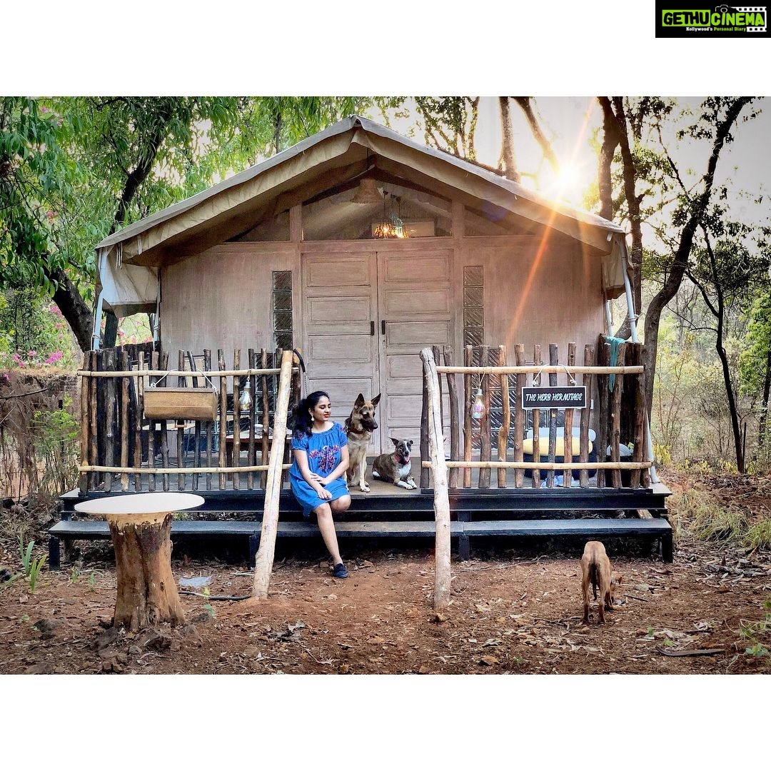 Srushti Dange Instagram - Itβs not a home without fur-kids π πΆ #sunset #lucydiary @lucyruspinlove #ruspindiary #tubby ππ«