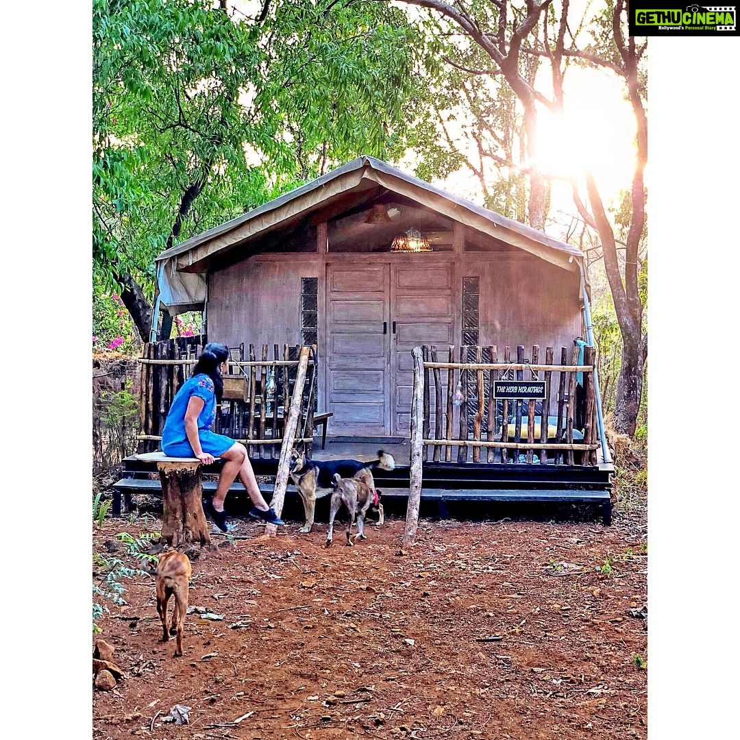 Srushti Dange Instagram - Itβs not a home without fur-kids π πΆ #sunset #lucydiary @lucyruspinlove #ruspindiary #tubby ππ«