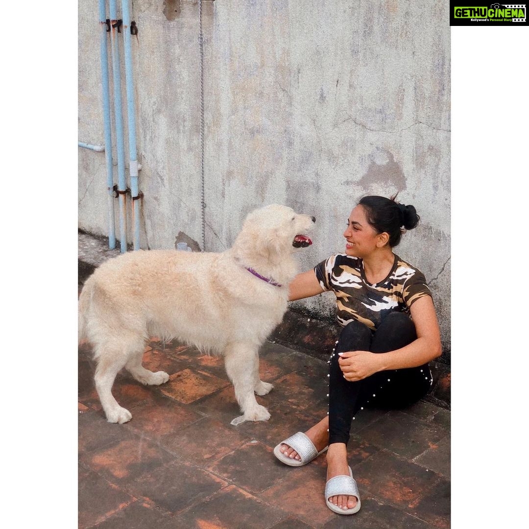 Srushti Dange Instagram - My fashion philosophy is, if you’re not covered in Dog hair, your life is Empty…. P.S-: Tommy I love your wiggle butt 🐶🐩