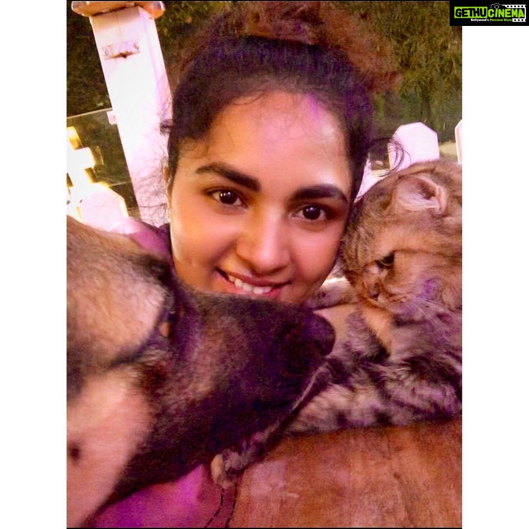Srushti Dange Instagram - My party usually includes Fur and paws 🐾 🤷🏼♀️