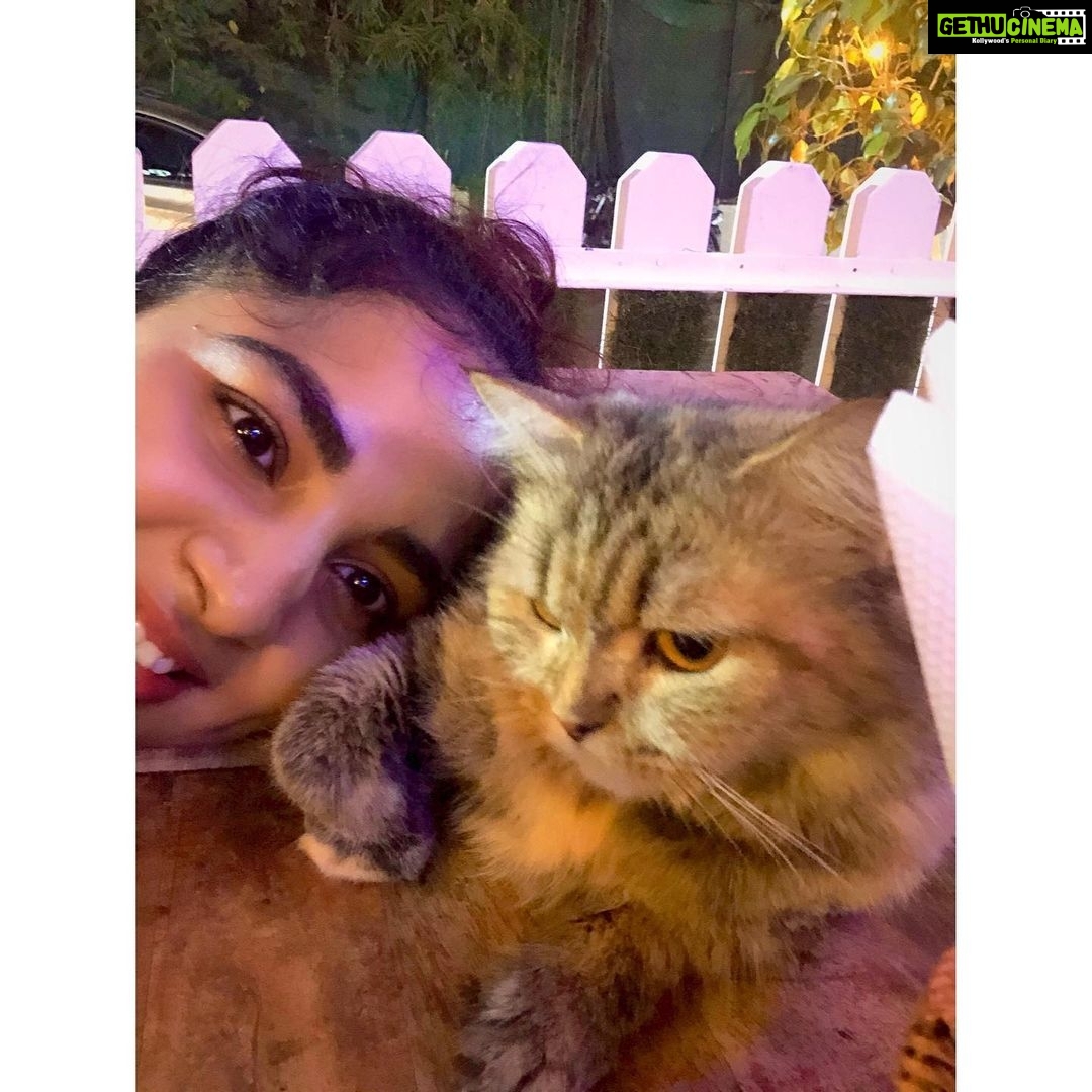 Srushti Dange Instagram - My party usually includes Fur and paws 🐾 🤷🏼♀️