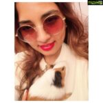 Srushti Dange Instagram - In Case of emotional breakdown give me a Guinea Pig 🐷#wheekwheek #guineapig