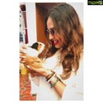 Srushti Dange Instagram - In Case of emotional breakdown give me a Guinea Pig 🐷#wheekwheek #guineapig