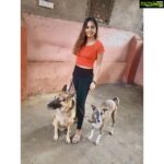 Srushti Dange Instagram – Dogs before Dudes 🤪🤷🏼‍♀️ @lucyruspinlove #lucyruspin