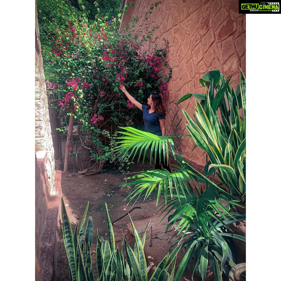 Srushti Dange Instagram - Some see flowers. Some see weeds. But all seem to hopelessly admire how my wildflower soul effortlessly finds the sun even when the sky is painted a million shades of grey๐ฟ๐๐น