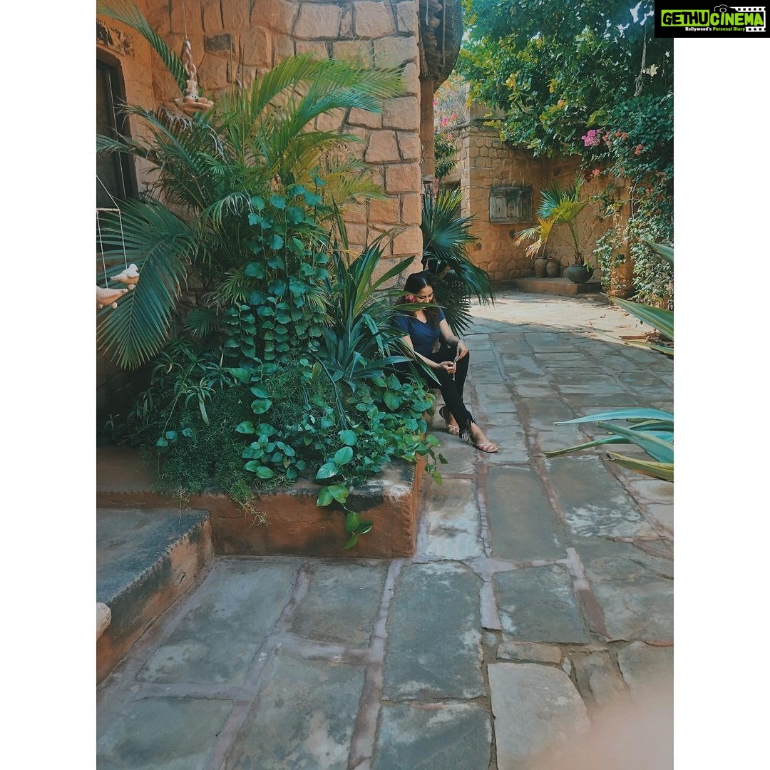 Srushti Dange Instagram - I don’t know where I’m going from here but I promise it won’t be boring 🍀🦋🌸 #handcraft #nature #greenery #gardenlife #peace #handmadeart #artistic