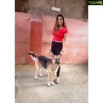 Srushti Dange Instagram – Dogs before Dudes 🤪🤷🏼‍♀️ @lucyruspinlove #lucyruspin