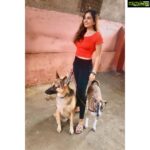 Srushti Dange Instagram – Dogs before Dudes 🤪🤷🏼‍♀️ @lucyruspinlove #lucyruspin
