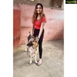 Srushti Dange Instagram – Dogs before Dudes 🤪🤷🏼♀️ @lucyruspinlove #lucyruspin
