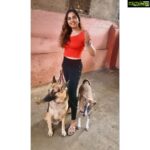 Srushti Dange Instagram - Dogs before Dudes 🤪🤷🏼‍♀️ @lucyruspinlove #lucyruspin