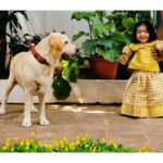 Sshivada Instagram - When I met you for the first time back in 2015 ,I was really afraid to even step near you(since I never had a pet in my life until then).Now in 2020, u are a part of our family.Happy birthday Jenny ❤️#petslove #loveyourpet #petsofinstagram #pets Alappuzha