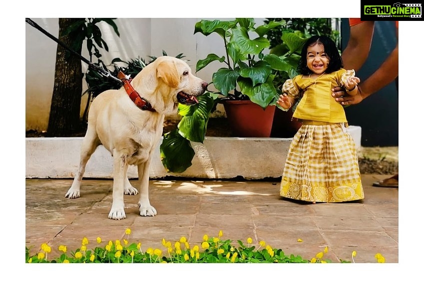 Sshivada Instagram - When I met you for the first time back in 2015 ,I was really afraid to even step near you(since I never had a pet in my life until then).Now in 2020, u are a part of our family.Happy birthday Jenny ❤️#petslove #loveyourpet #petsofinstagram #pets Alappuzha