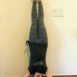 Sshivada Instagram - Practice Yoga as a tool for a healthy, happy and peaceful life... #happyinternationalyogaday #internationalyogaday #stayhealthystayhappy #myyogalife #staypeaceful #liveyourlife #loveyourself