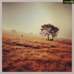 Sudeep Instagram - Solitude