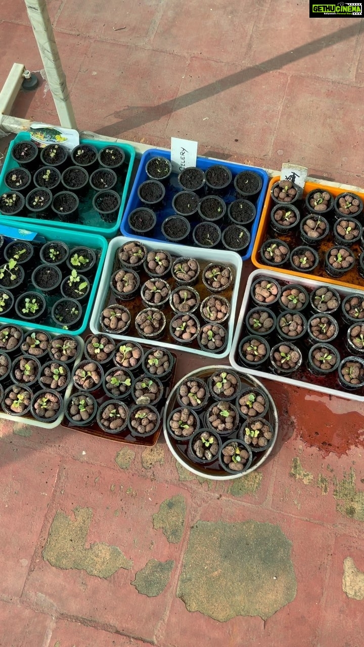 Suhasini Maniratnam Instagram - Garden report after many months.