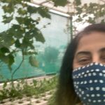 Suhasini Maniratnam Instagram - Pumpkin பூசணி……