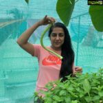 Suhasini Maniratnam Instagram - Fresh from the garden. Happy green morning.