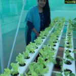 Suhasini Maniratnam Instagram - Today s hydroponic garden report. 14 days after transplant.