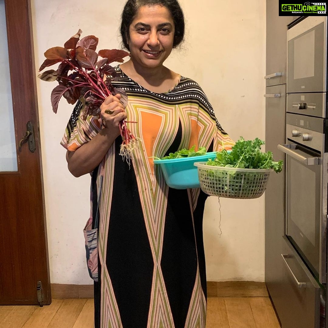 Suhasini Maniratnam Instagram - Harvest from my terrace garden. Palak kale and red amaranthus