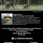 Suhasini Maniratnam Instagram - Time to meet and learn from the masters. Those interested in photography nature wild life please join my friend and ace cinematographer Alphons Roy for a grater cause