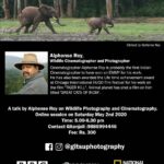 Suhasini Maniratnam Instagram – Time to meet and learn from the masters.  Those interested in photography nature wild life please join my friend and ace cinematographer Alphons Roy  for a grater cause