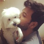 Sundeep Kishan Instagram - #Po 🐼🐶