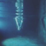 Sundeep Kishan Instagram - Underwater Stories 😎 Video Courtesy : Aadhi Pinisetty & @abhijithreddy6 s phone which got screwed underwater 😂😂😂 #waterbaby #swimming🏊 #holidays