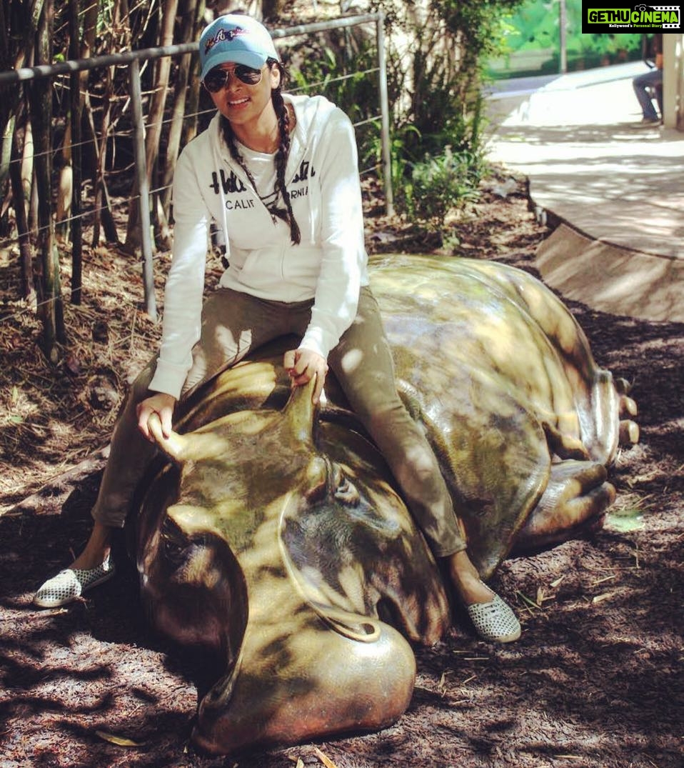 Sushma Raj Instagram - Hippo,my vaahanam for Today 😂