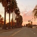 Sushma Raj Instagram - Cali vibes! 🌴