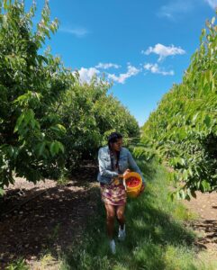Sushma Raj Instagram - #cherrypicking #farmfresh 🍒 #weekendgetaway