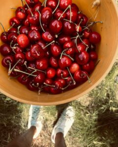 Sushma Raj Instagram - #cherrypicking #farmfresh 🍒 #weekendgetaway