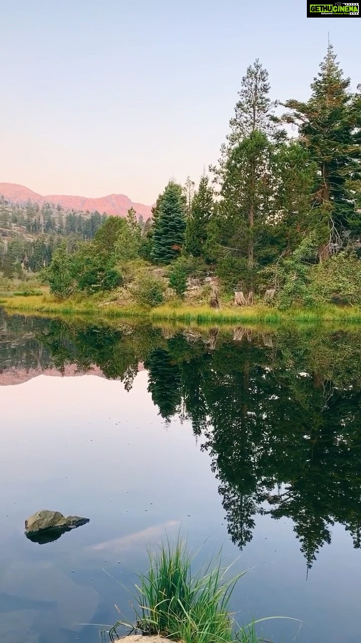 Sushma Raj Instagram - #laketahoe #fallenleaflake 🌲