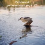 Sushma Raj Instagram - #perseverance #patience