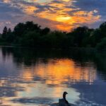 Sushma Raj Instagram - SUNSETS are the proof that no matter what happens, day can end BEAUTIFULLY! ☀️ 🌅 🦆 🌳