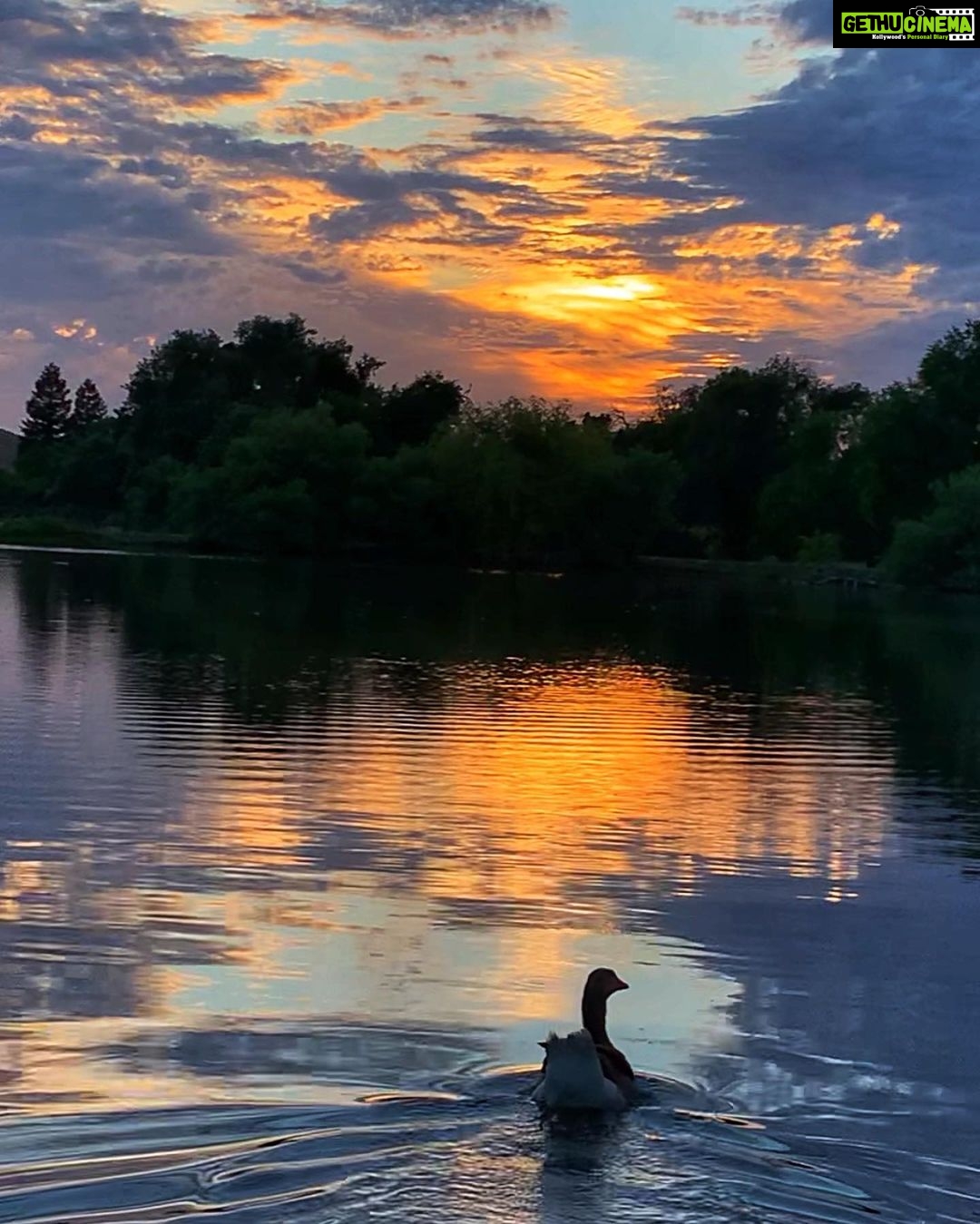 Sushma Raj Instagram - SUNSETS are the proof that no matter what happens, day can end BEAUTIFULLY! ☀️ 🌅 🦆 🌳