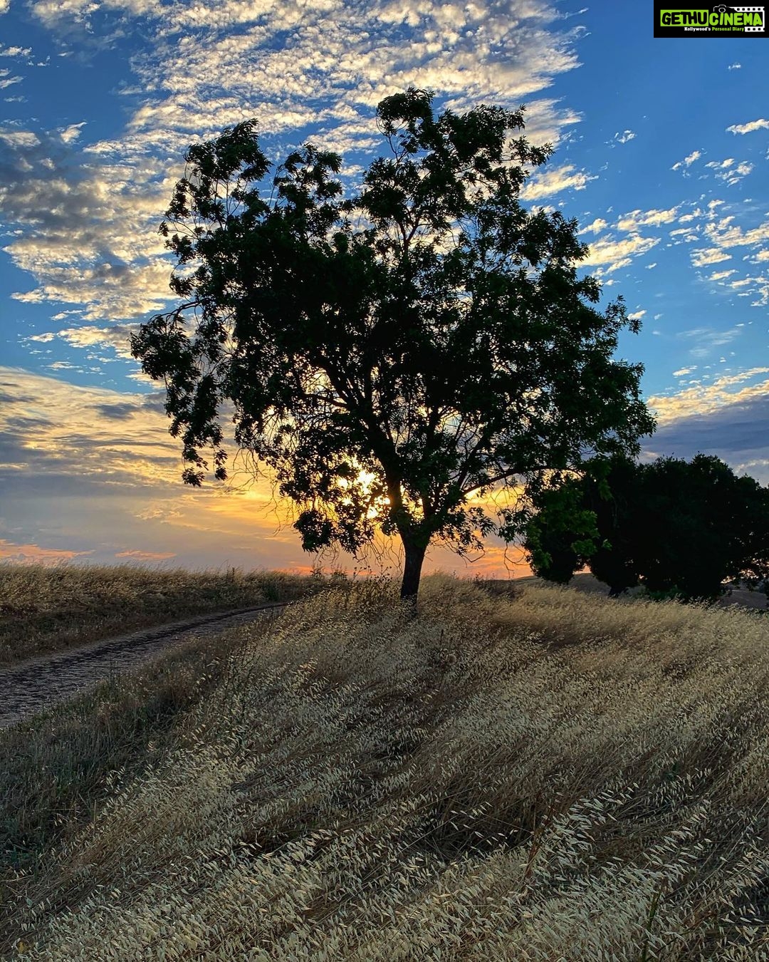 Sushma Raj Instagram - SUNSETS are the proof that no matter what happens, day can end BEAUTIFULLY! ☀️ 🌅 🦆 🌳