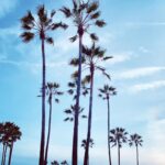 Sushma Raj Instagram – LA LA land! Venice Beach