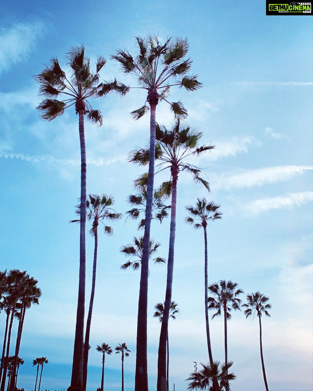Sushma Raj Instagram - LA LA land! Venice Beach