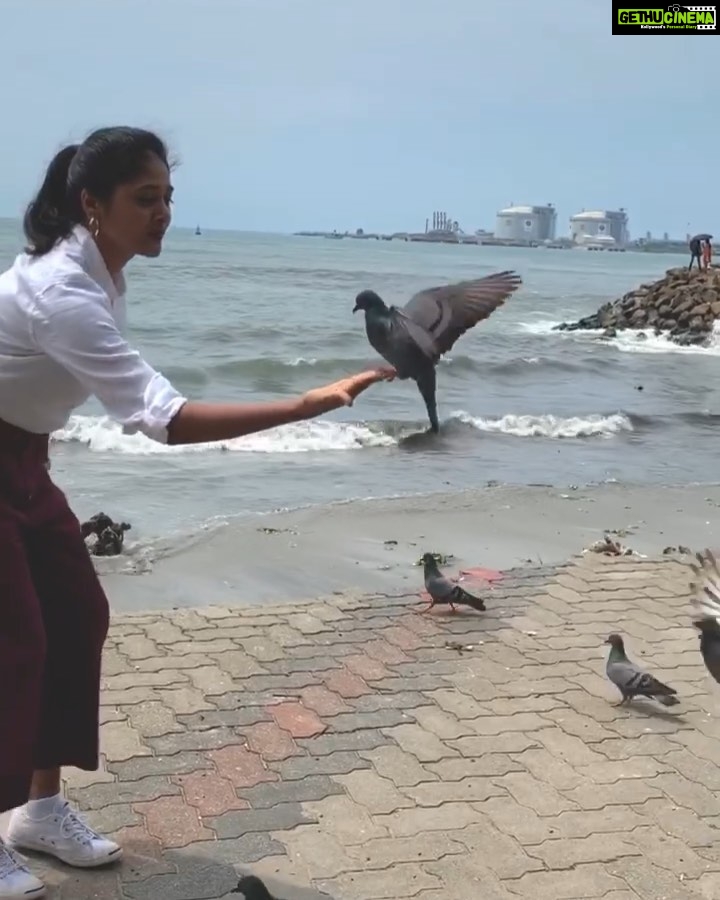 Sushma Raj Instagram - 🕊 Fort Kochi, Kerala