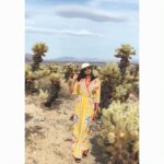 Sushma Raj Instagram - 👒🌵🌞🔥 Joshua Tree National Park