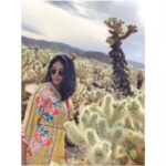 Sushma Raj Instagram - 🌵🌞 Joshua Tree National Park