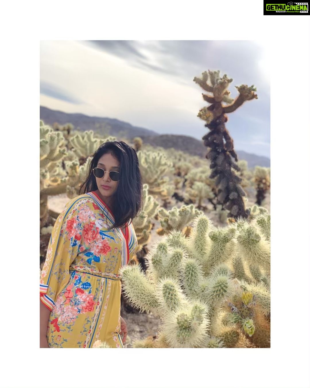 Sushma Raj Instagram - 🌵🌞 Joshua Tree National Park