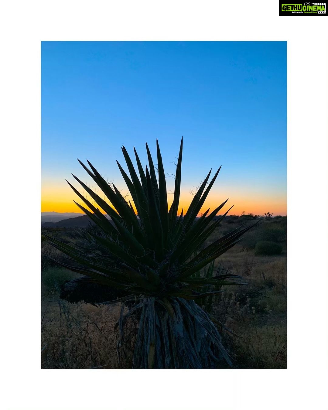 Sushma Raj Instagram - Hey there! #joshuatree 🌵#sunsets Joshua Tree, California