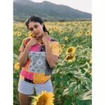 Sushma Raj Instagram - 🌻✨