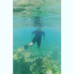 Sushma Raj Instagram - BLUE WORLD! #turtletown Hawaii